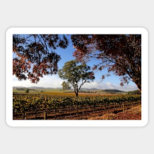 Barossa Autumn Landscape Australia Sticker